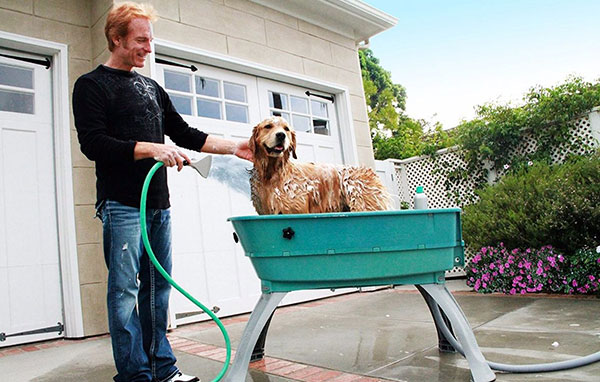 Pet bath